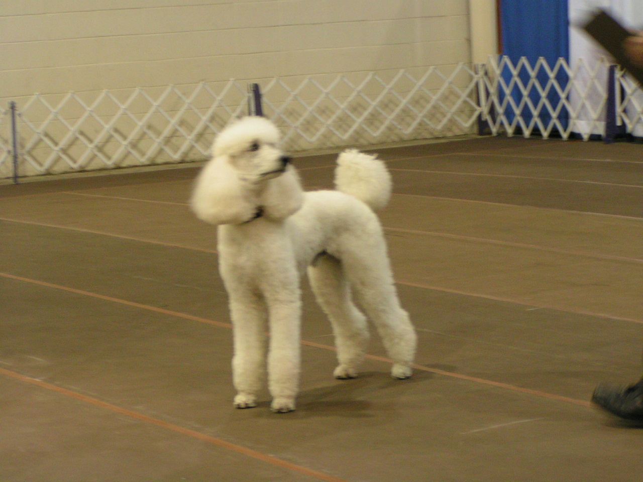 pict0103.jpg